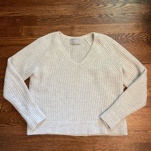 Everlane Alpaca V-Neck Sweater
